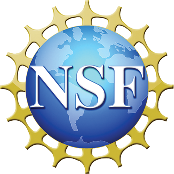 National Science Foundation logo